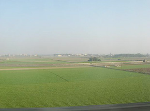 新幹線から見る田園風景